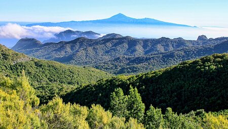 Spanien: Kanaren