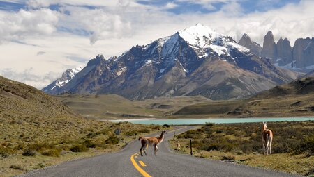 Das Beste von Patagonien