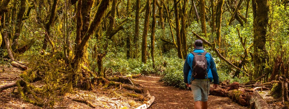 La Gomera - Trekking durch den Inselnorden