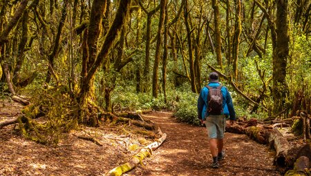 La Gomera - Trekking durch den Inselnorden