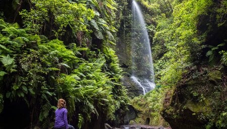 La Palma - Vulkanwandern auf der "Isla Bonita"