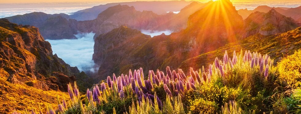 Madeira - Wanderträume auf der Blumeninsel