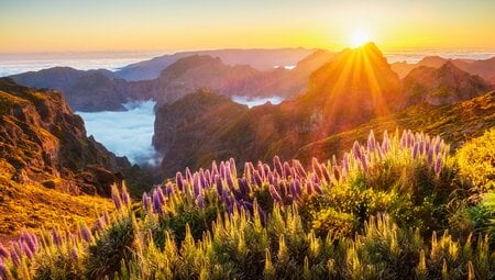 Madeira - Wanderträume auf der Blumeninsel