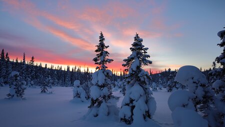 Wintererlebnis in Åre