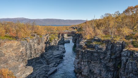 Abisko Sommer