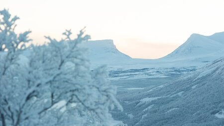 Abisko Winter