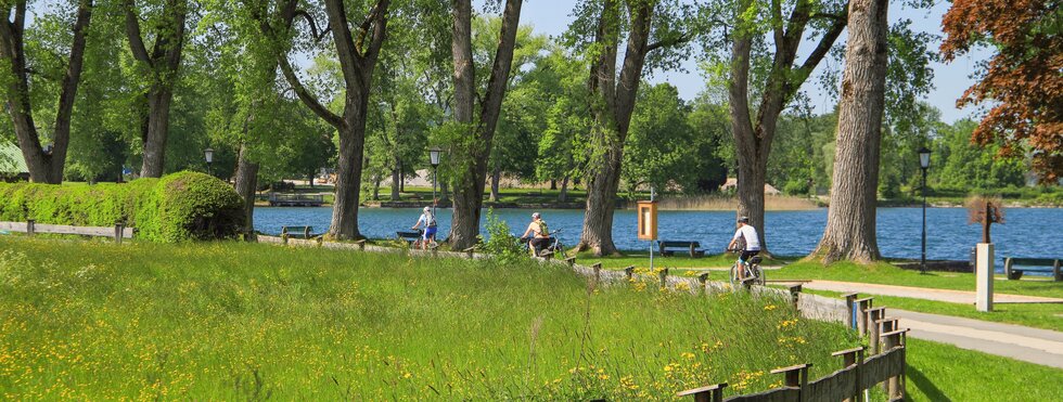 Sportlich vom Bodensee an den Königssee