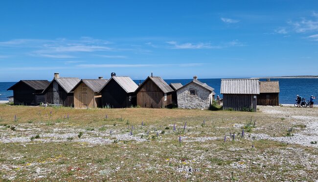 Gotland - Wandern auf einer paradiesischen Insel