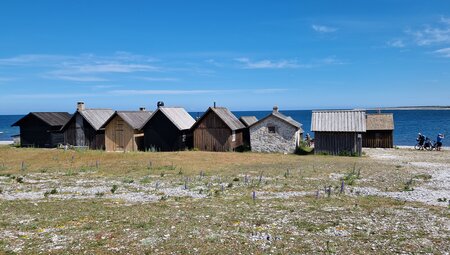 Gotland - Wandern auf einer paradiesischen Insel