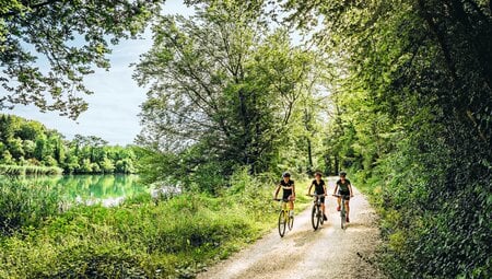 Aare-Route Grimselpass - Bad Zurzach