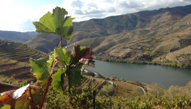 Wandern im Herzen Nordportugals: Douro & Minho