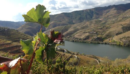 Wandern im Herzen Nordportugals: Douro & Minho