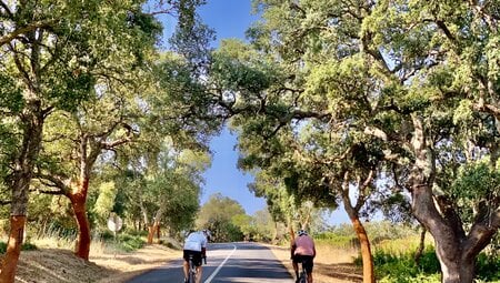 Portugal - Wildküste mit Gravel Bike erkunden