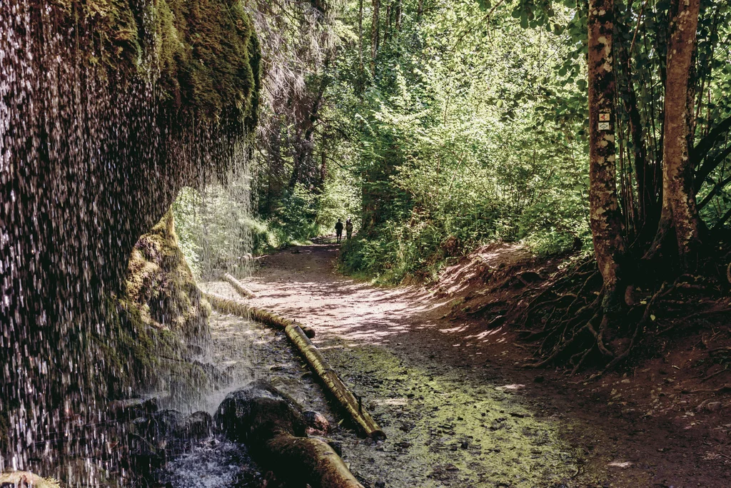 Auf Dem Schluchtensteig Durch Die Schonsten Schluchten Im Schwarzwald Individuelle Trekkingreise