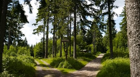 Rennsteig Abschnitt 1: Hörschel – Frauenwald - kurze Etappen