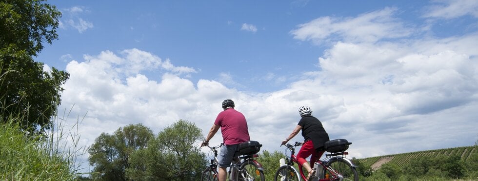 Radeln Moselradweg