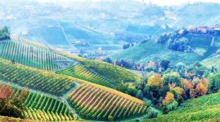 Piemont für Genießer - Trüffel, Wein und Schokolade