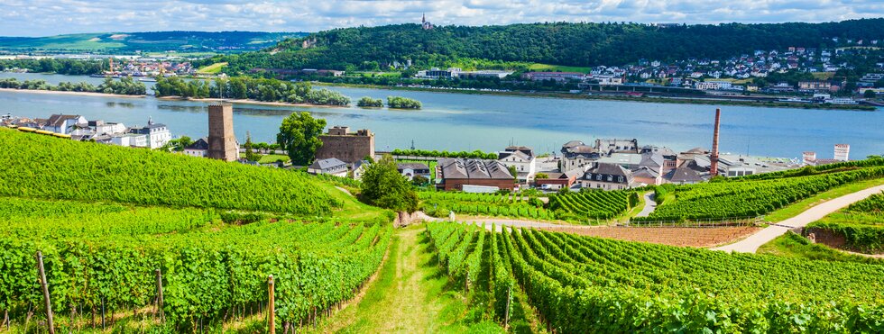 Blick auf Rüdesheim und Bingen am Rhein