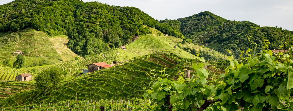 Prosecco-Region, Italien 