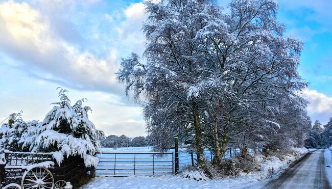 Schneelandschaft Schottland