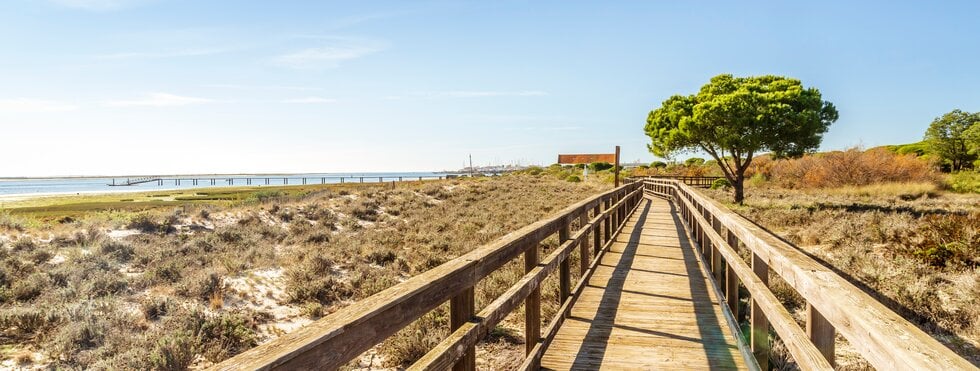 Holzsteg in Ria Formosa