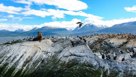 Patagonia: Chile und Argentinien