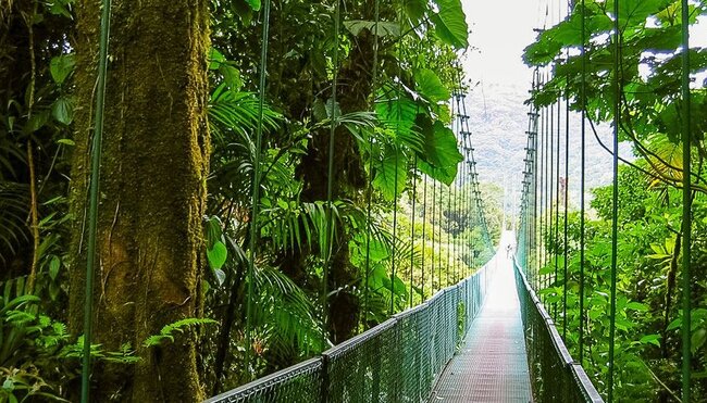 Tortuguero: Costa Rica