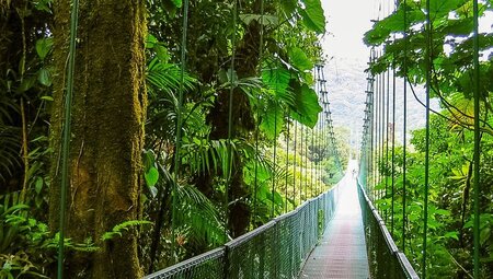 Tortuguero: Costa Rica