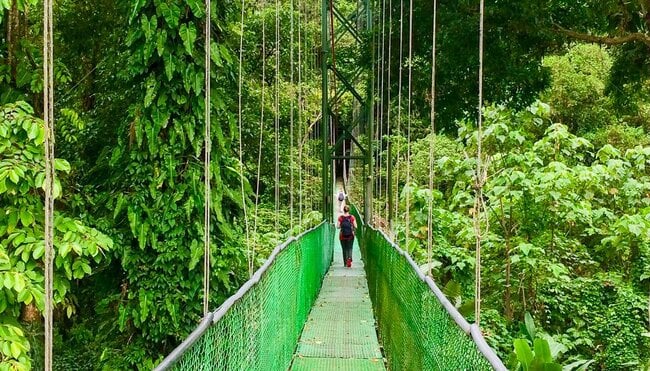 Paradiso: Costa Rica