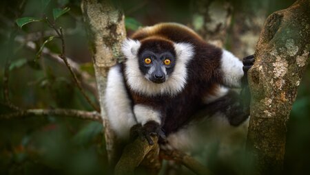 Madagaskar: Kaleidoskop der Natur