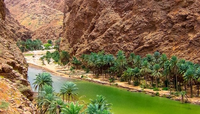 Wahiba:Oman