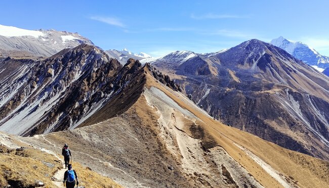 Langtang Trek über Laurebina Pass