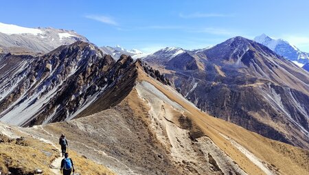 Langtang Trek über Laurebina Pass