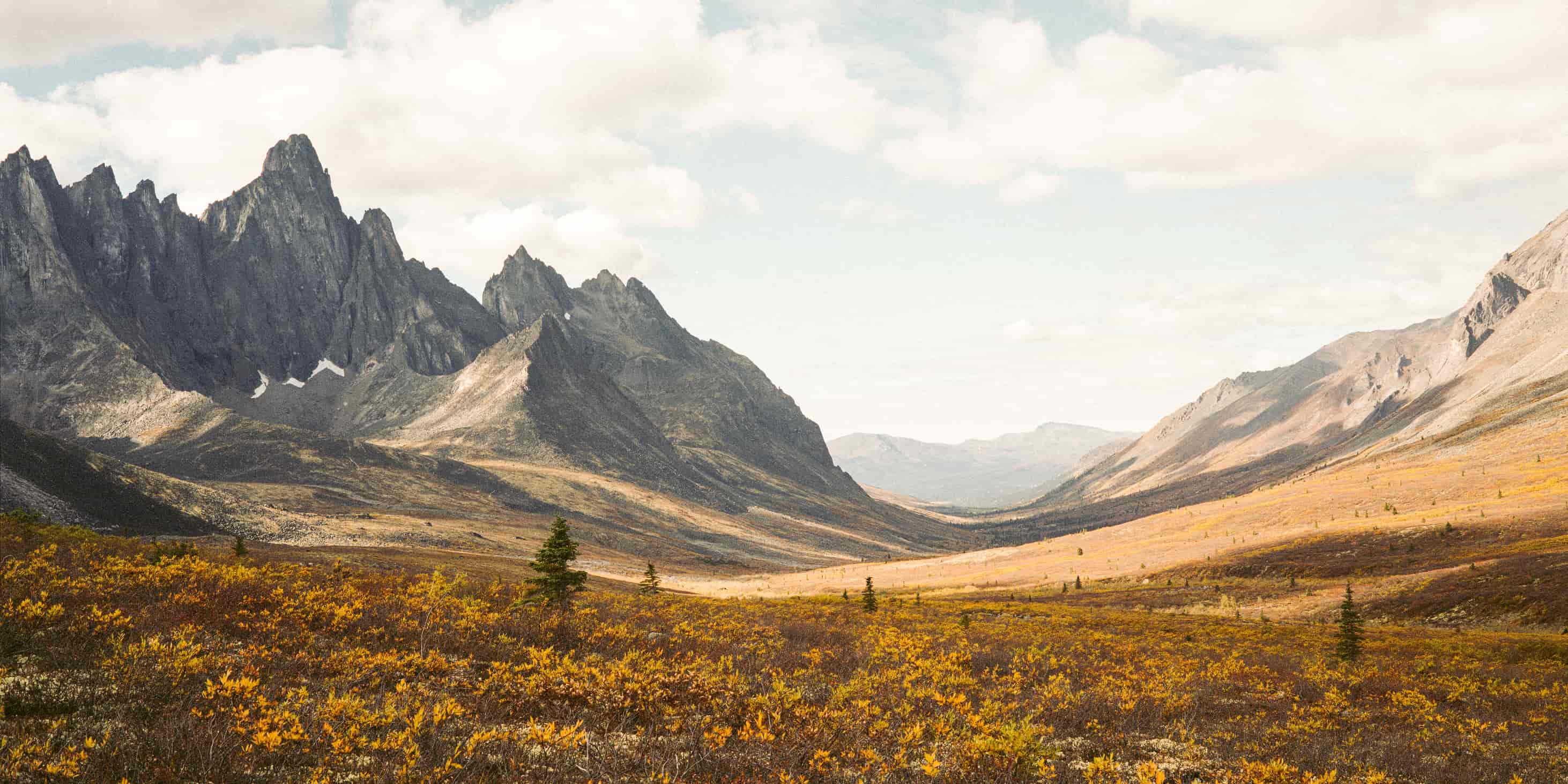 Draußen fängt die Freiheit an