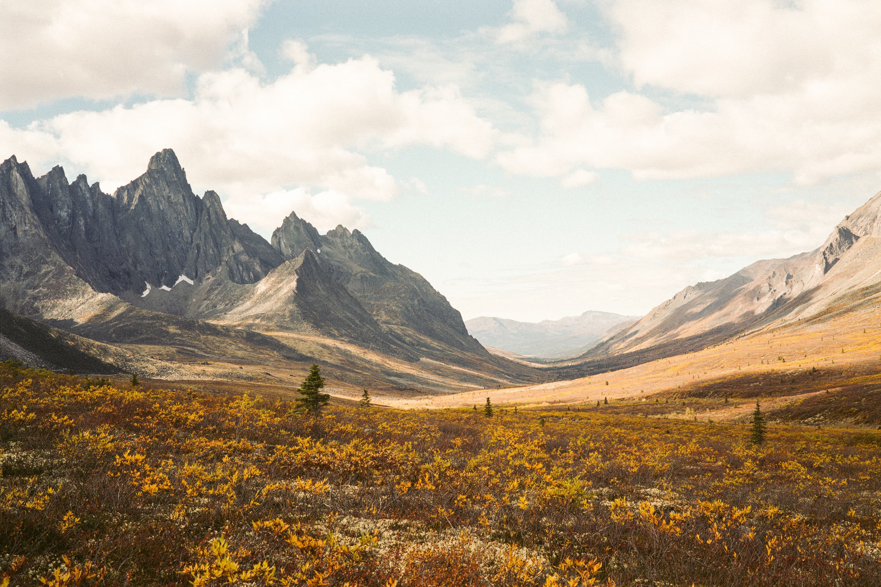 Draußen fängt die Freiheit an