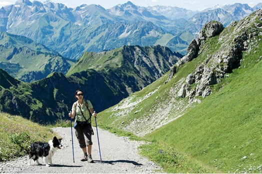 Alpenüberquerung mit Hund 5 Infos zur Planung [Tipps] Blog ASI Reisen