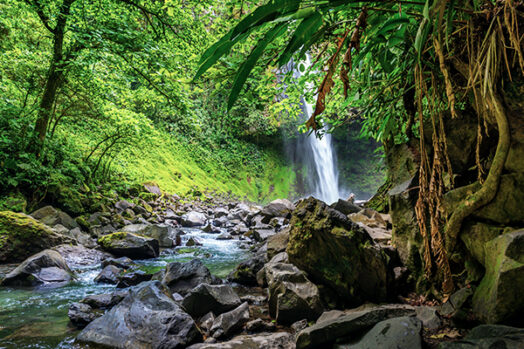 Die Top 6 Nationalparks in Costa Rica: Das grüne Wunder