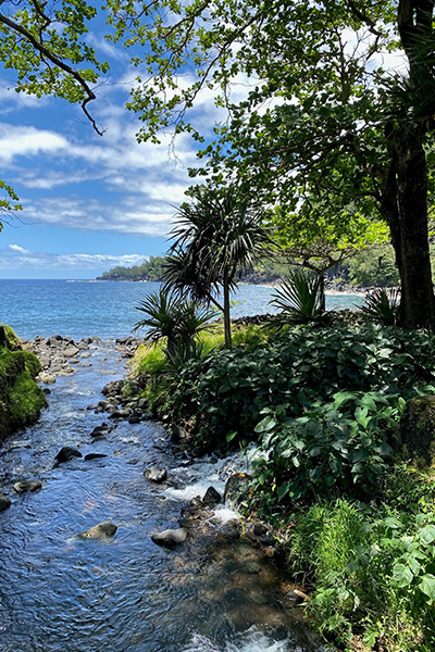 Bach fließt ins Meer auf La Réunion