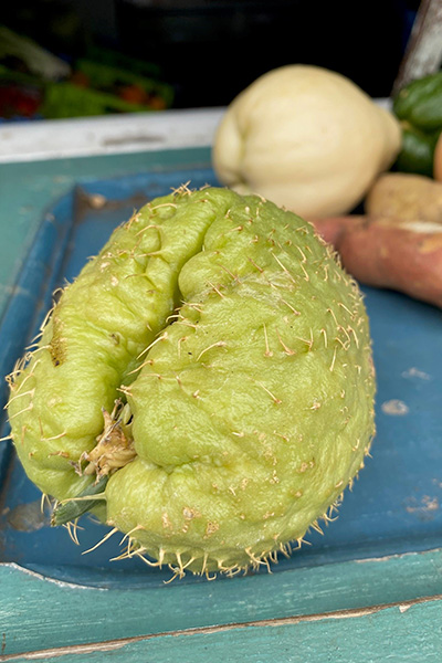 Chayote auf La Réunion