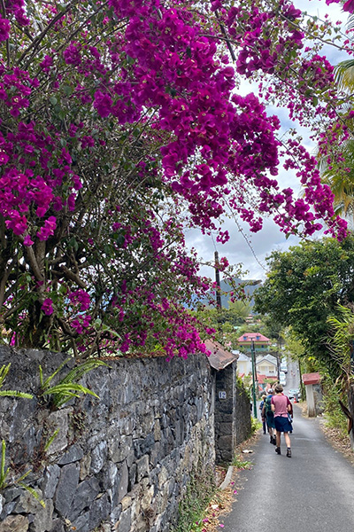 Gasse mit pinken Blumen in Hell-Bourg auf La Réunion