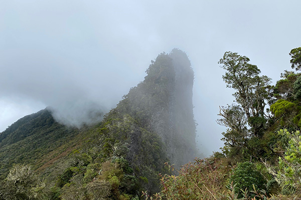 Nebel auf einer Bergspitze auf La Réunion