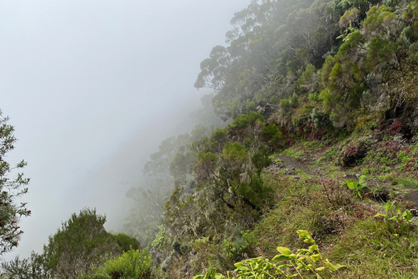 Nebel um die Hänge von La Reunion