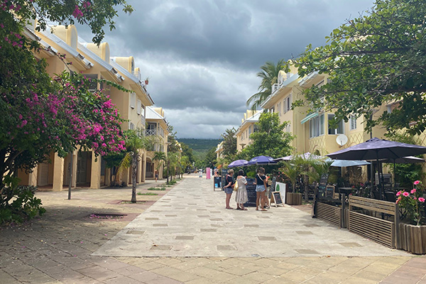 Straße in Palmiste Rouge auf La Réu
nion