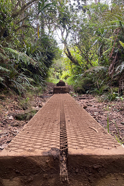 Wanderweg La Réunion