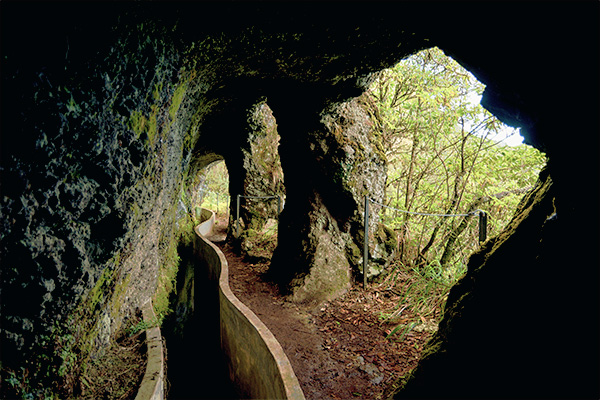 Tunnel an der Forellenlevada auf Madeira