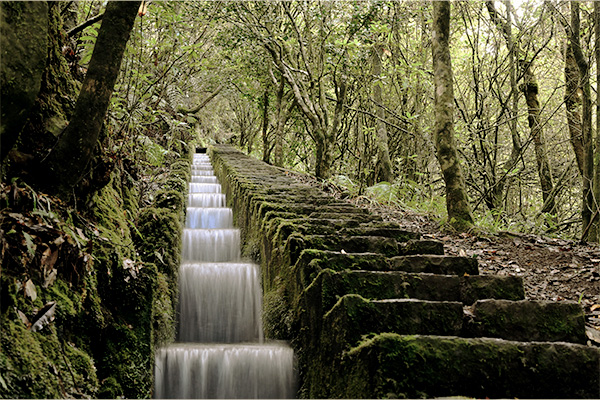 Künstlich angelegte Wasserkanäle auf dem Wanderweg Levada do Furado.