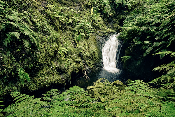 Der Ribeiro Bonito Wasserfall am Levada do Rei Wanderweg.