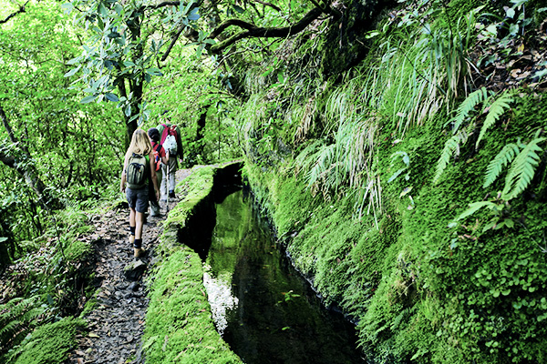 Wanderer an einer Levada auf Madeira, Portugal