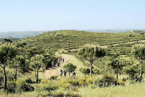 Wanderer in grüner Landschaft bei Alcoutim, Portugal