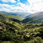 grüne Hügel im Hinterland Sardiniens